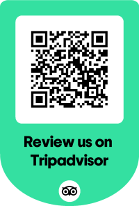 TripAdvisor Review